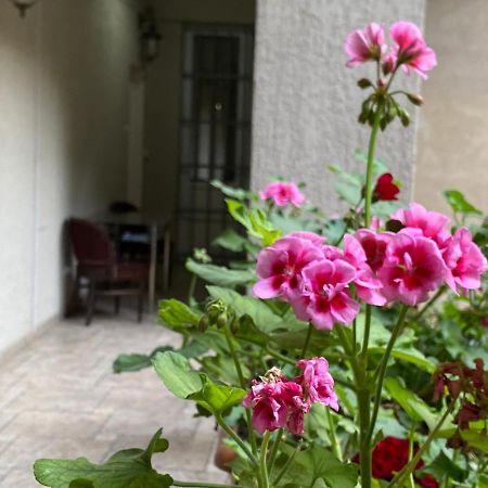 Hotel Blissdom Tbiliszi Kültér fotó